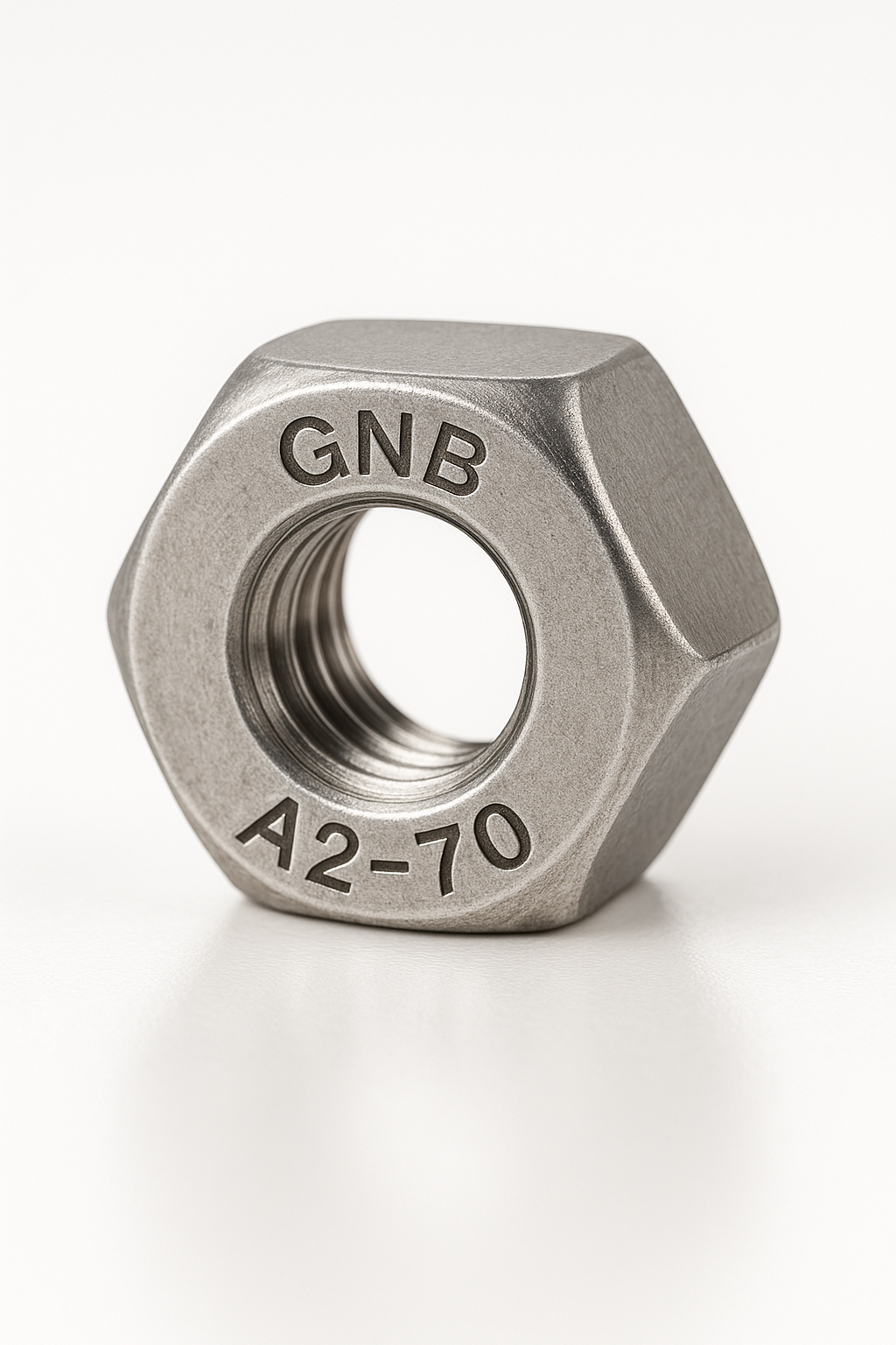 SS Hex Nut 202